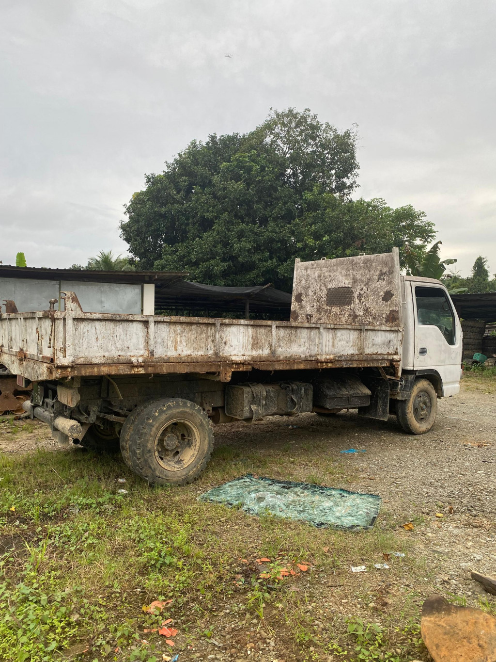 ISUZU NPR66L