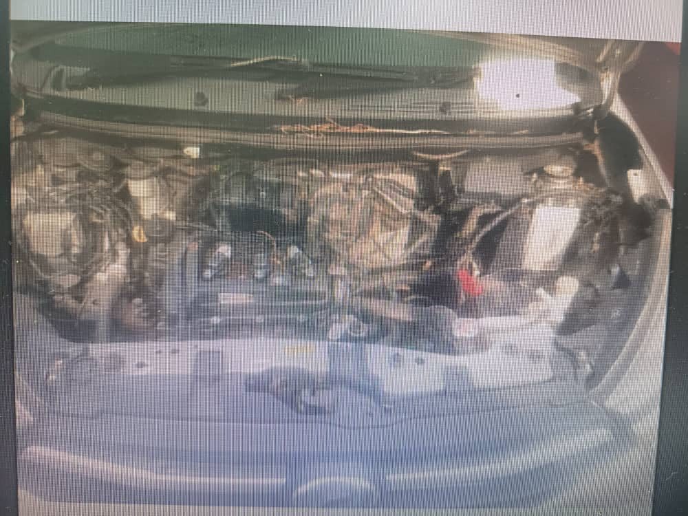 PERODUA AXIA 1000 G A/T